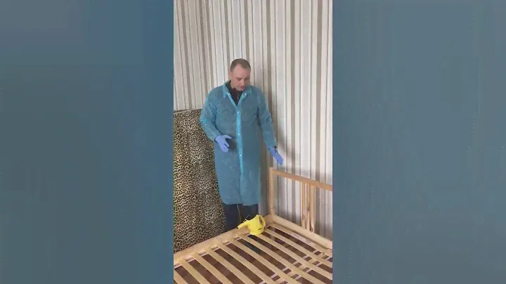 уничтожение клопов паром